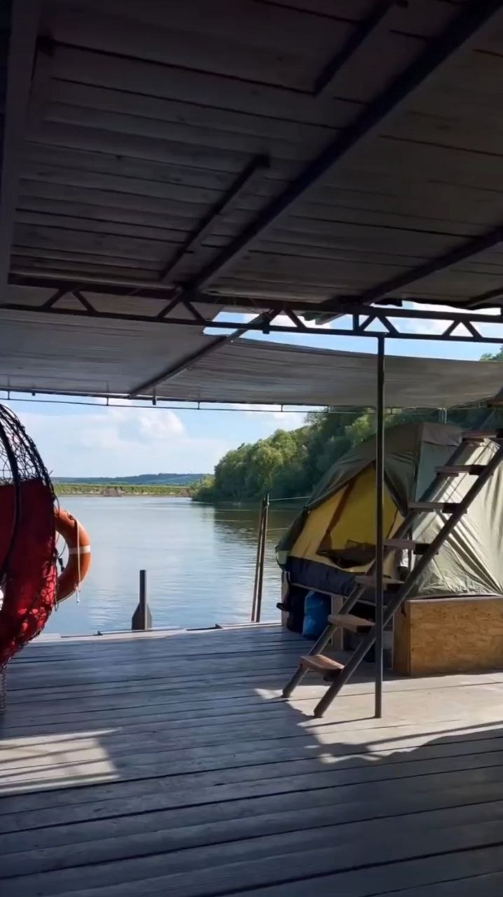 Плот в камышах